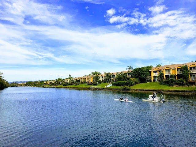 Pizzey Park Pine Forest